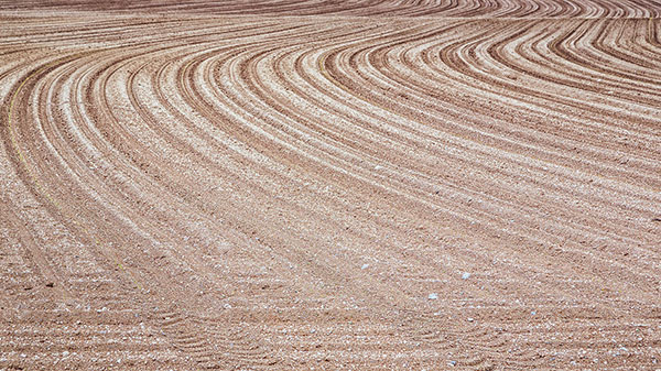 Kalken zu jeder Jahreszeit mit Granukal!